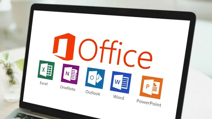 Microsoft OneNote 2024